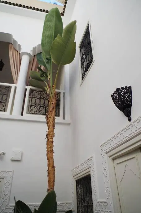 Casa vacanze Riad Les Jardins De Kenza, Idealement Situe, 5 Minutes De La Place Jemaa El Fna Marrakesh Marocco